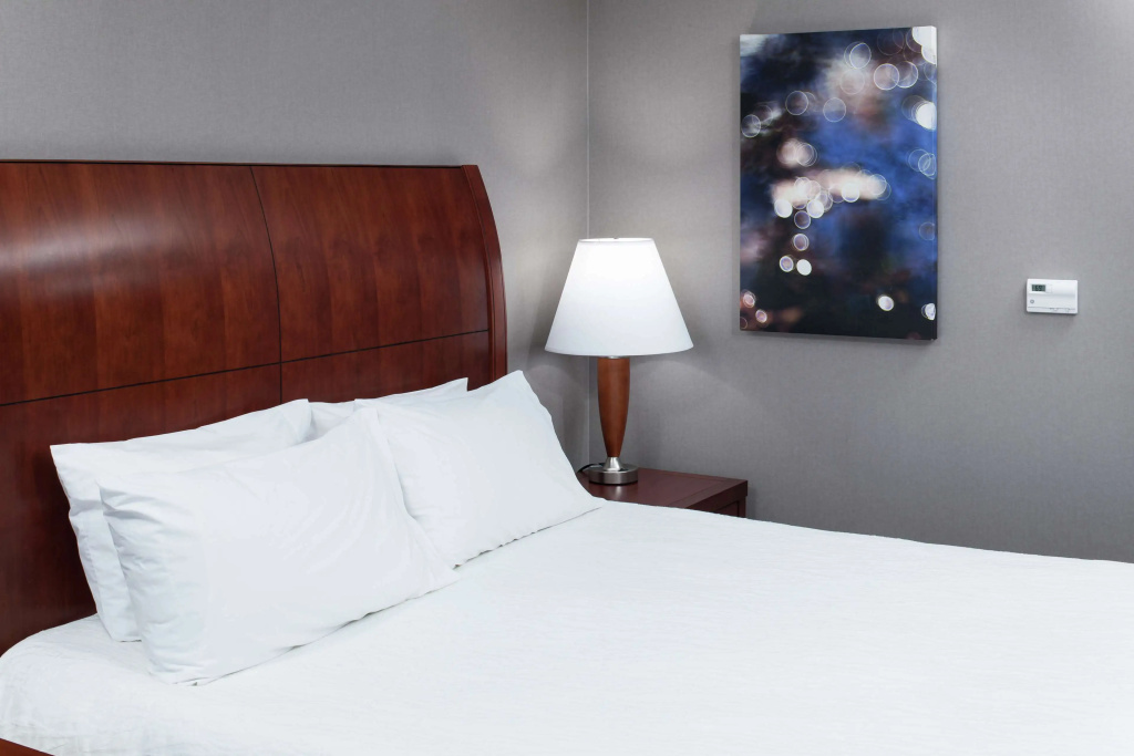 Hilton Garden Inn Naperville/Warrenville - Général