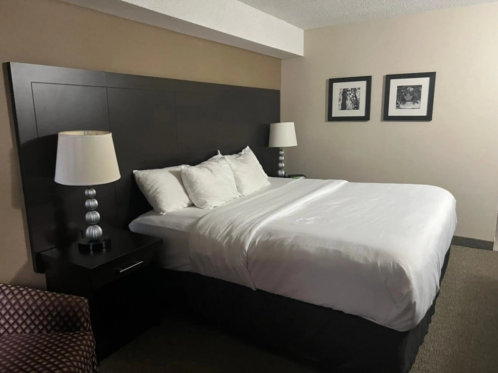 Comfort Inn - фото 3