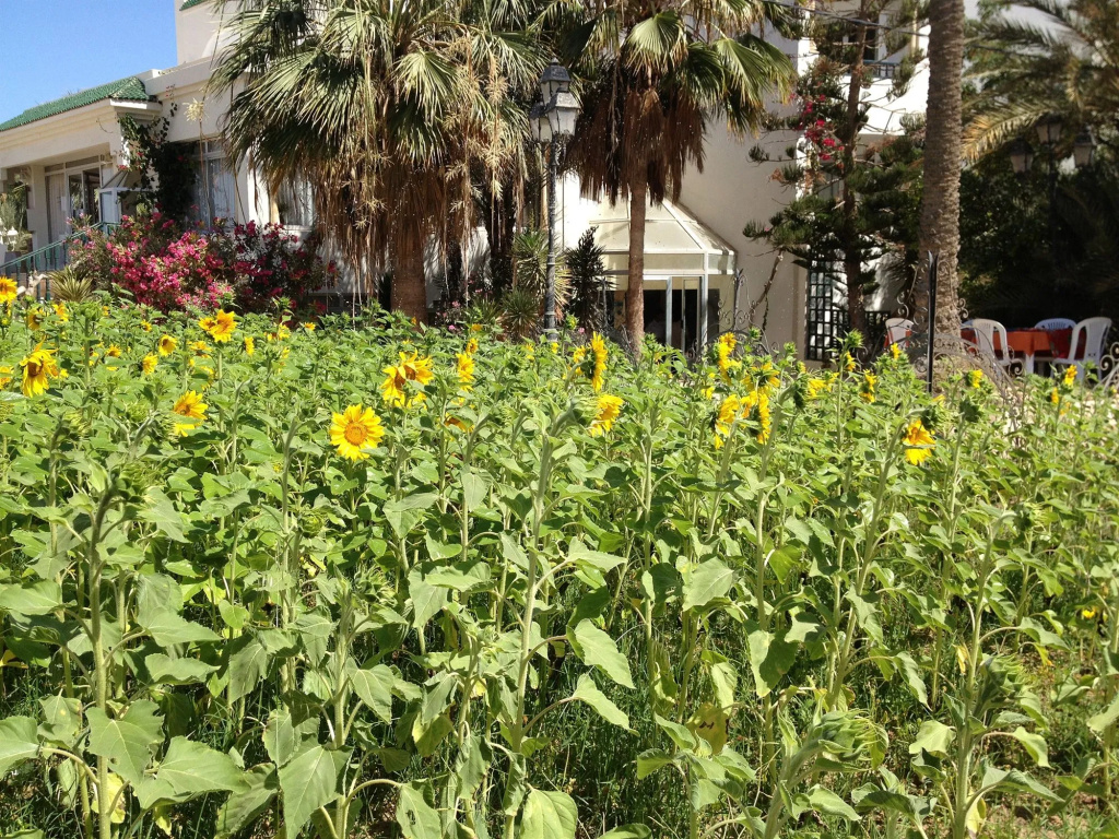 Hotel photo 23