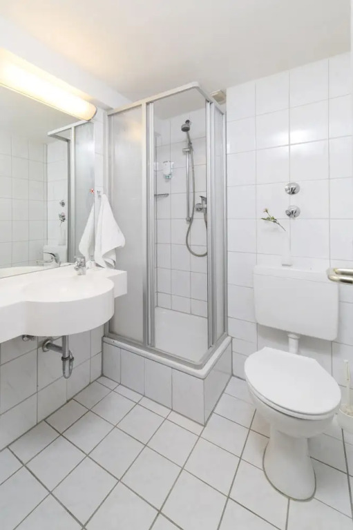 Двухместный номер Standard двуспальная кровать в Hansa Hotel