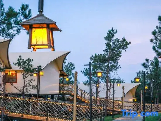Squirrel Kingdom Forest Homestay