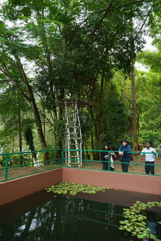 Hotel photo 45