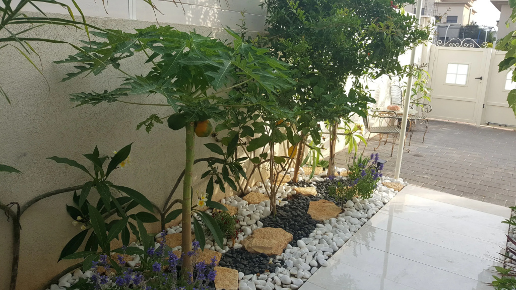 Regina's place - фото 16