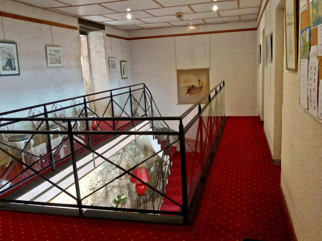 Hotel des Marquisats Annecy - Général