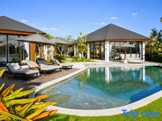Villa Vidrev - Private Infinity Pool & Rice Fields by BaliSuperHost