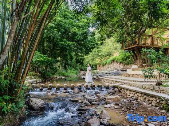 广州世间香境七溪地度假村 photo 5