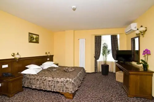 Hotel Dorna - фото 6