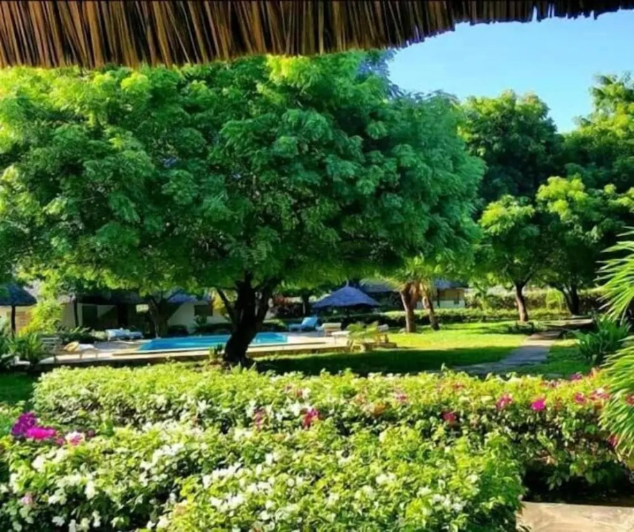 Echo Villas Watamu - Général
