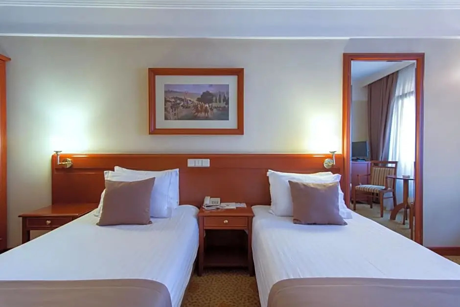 Standard Double room with city view (full double bed)
