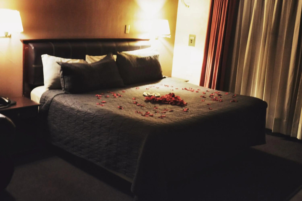 Hotel Flamingo Kristal - Général