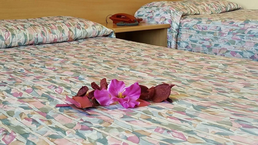 Hotel BB Porto Piombino - Général
