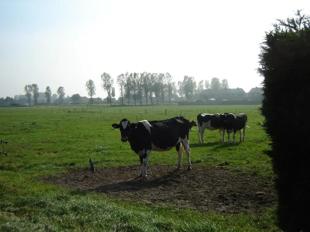 B&B De Kleine Prins