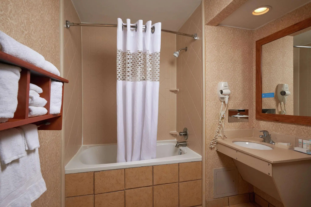 Standard Double room (full double bed)