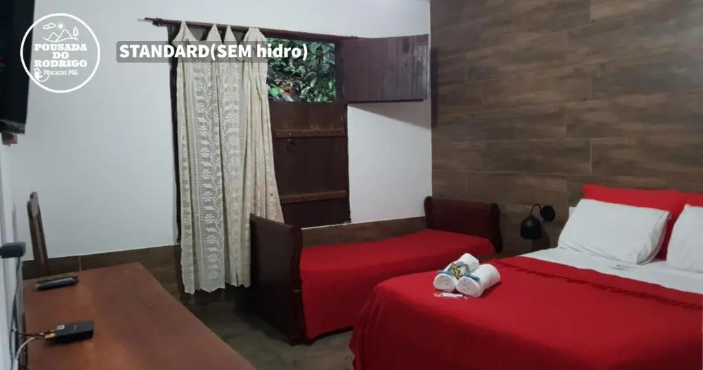 Standard Suite