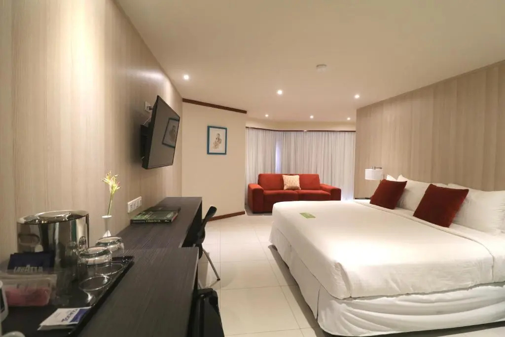 Standard Double room (full double bed)