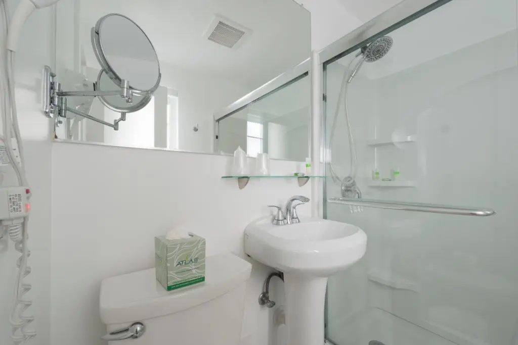 The Penguin Hotel - Chambres