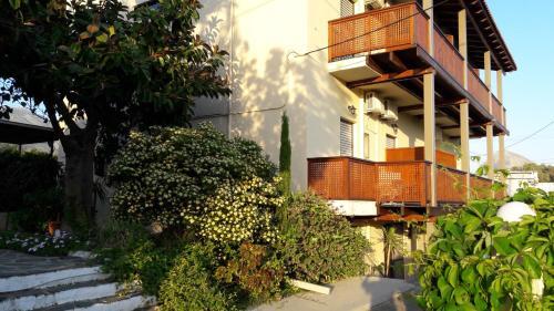 Oasis Apartments & Rooms