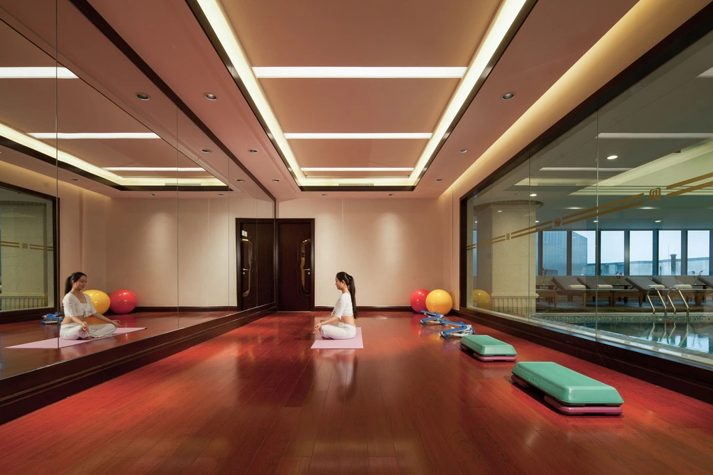 Xi'an Airport Hotel - Général
