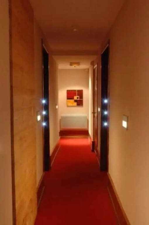 Hotel le Falken - Général