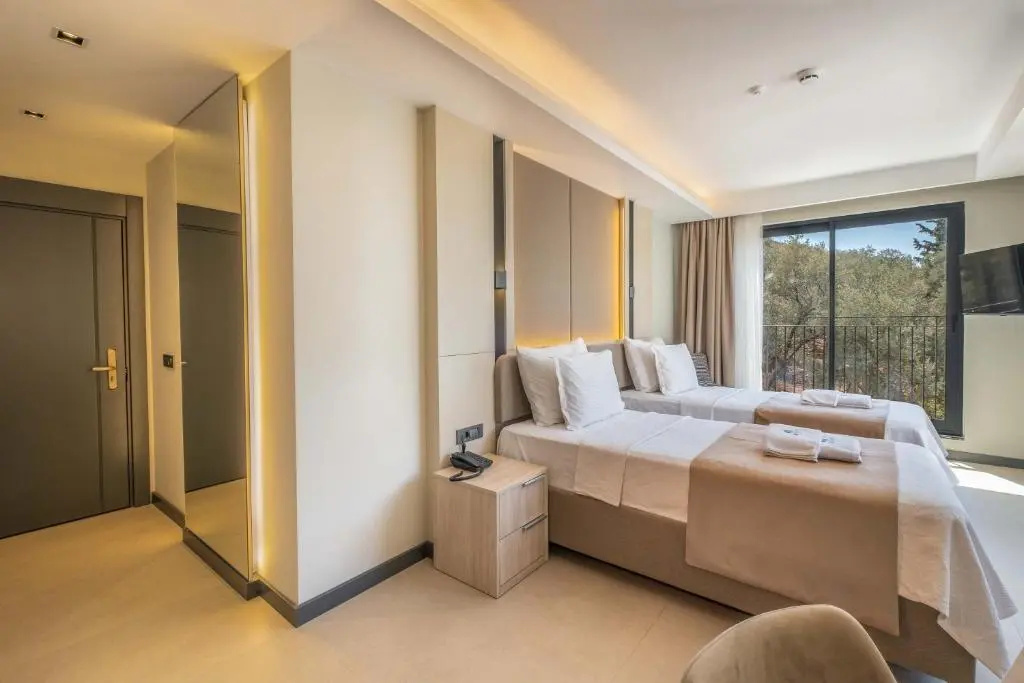 Deluxe Double room (twin beds)