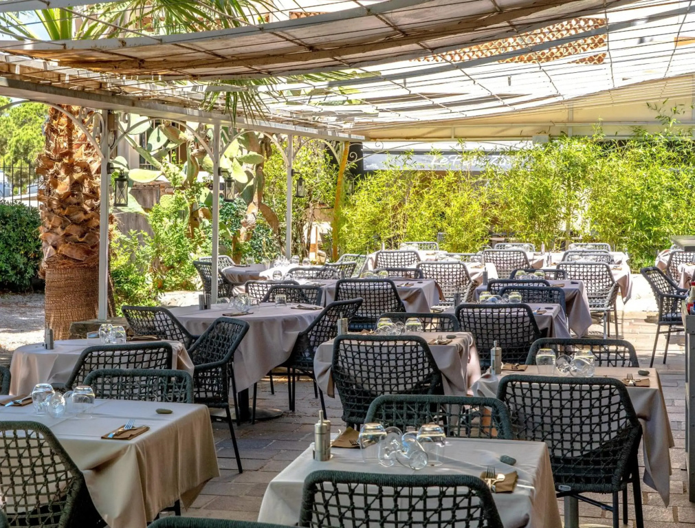 Hotel Les Palmiers - Général