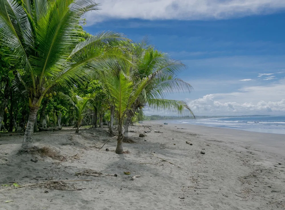 Hotel Rancho Coral - фото 15