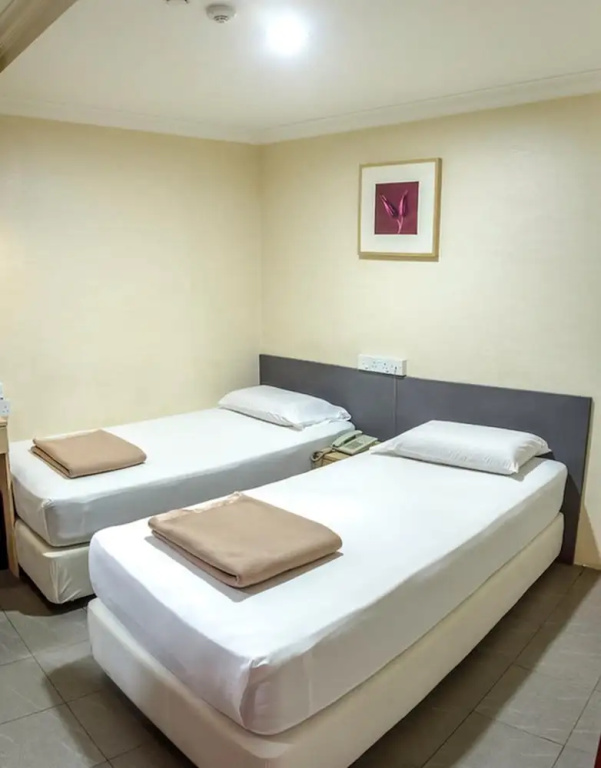 Superior Double room (twin beds)