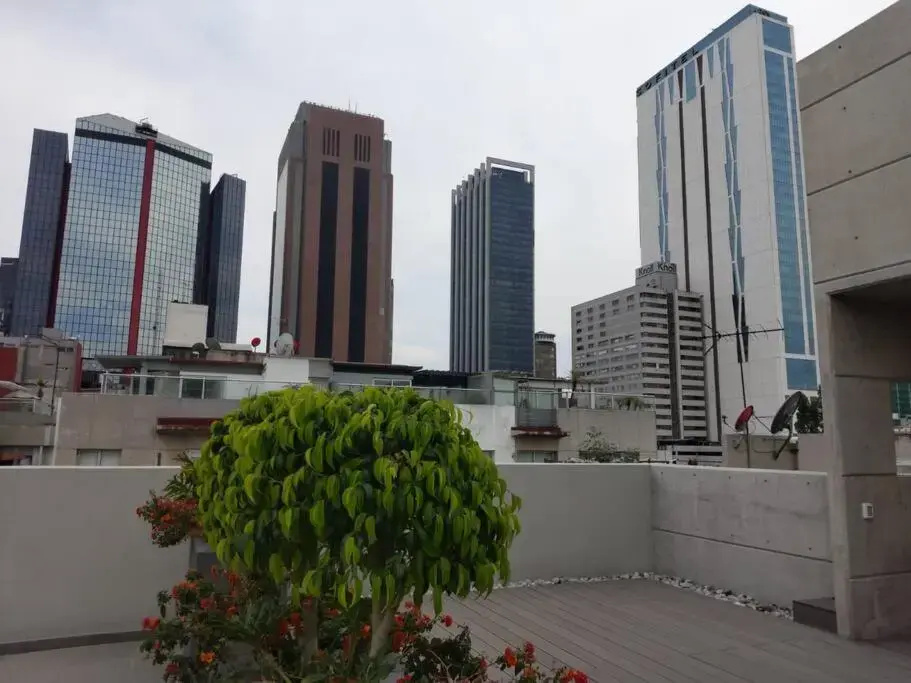 New Beautiful apartment near Reforma