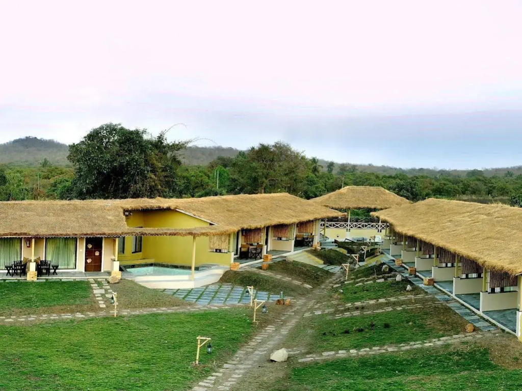 Asiatic Lion Lodge - Général