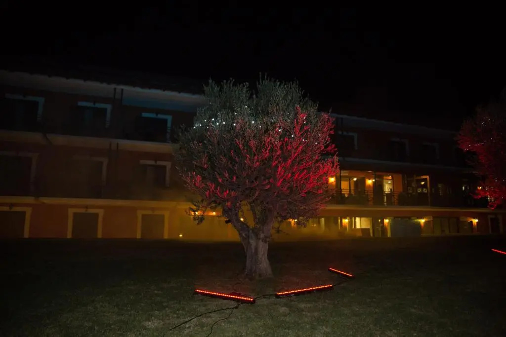 Europa Beach Hotel - Chambres