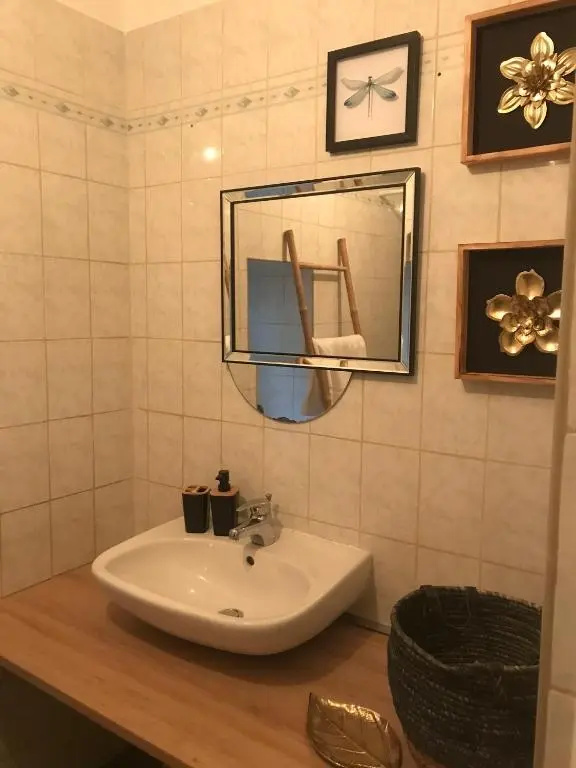Afficher la photo 7 — appartement cosy Le Safari avec wifi