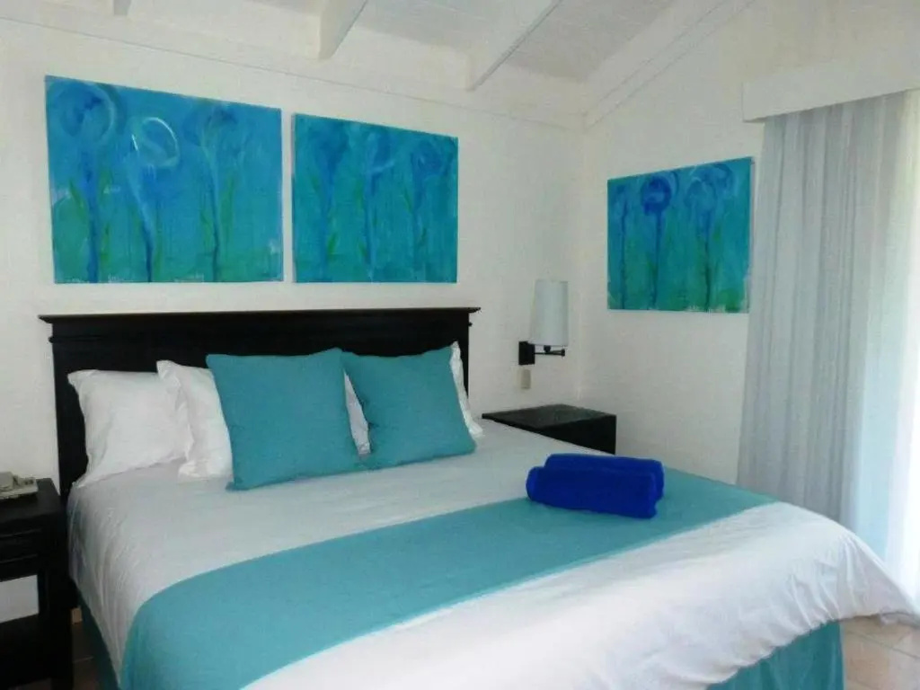 Deluxe Double room (full double bed)