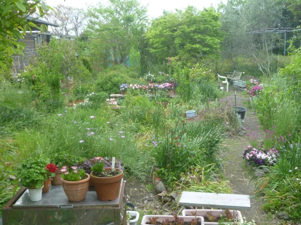 Pension Flora