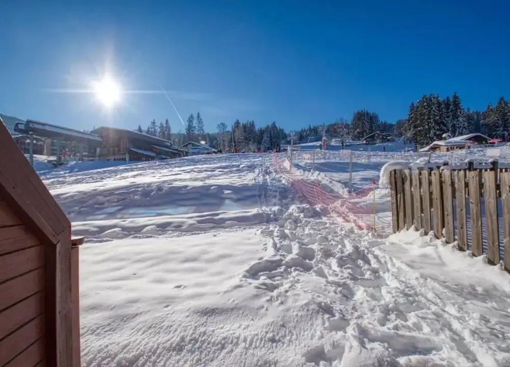Apartment in Morillon at Ski Slope