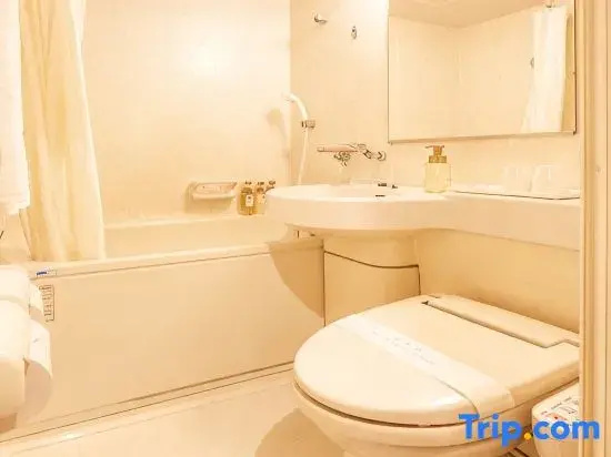 Premium Double room (twin beds)