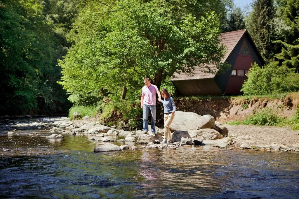 Domaine Long Pre - фото 12