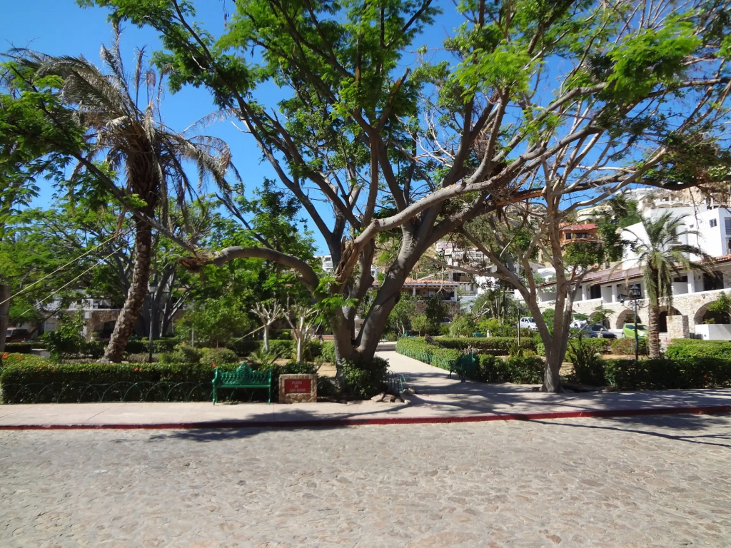 Cabo Pedregal Hotel - Général
