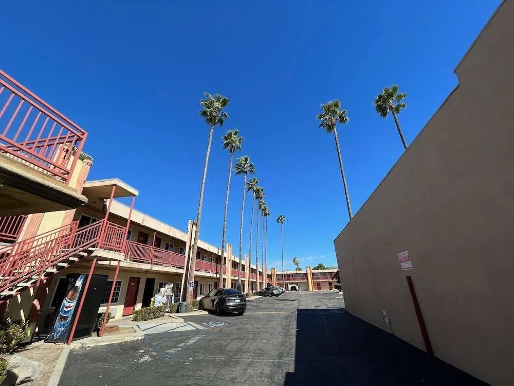 Palm Tree Inn — фото