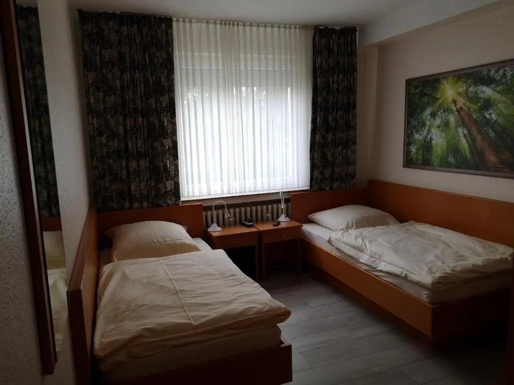 Economy Double room (twin beds)