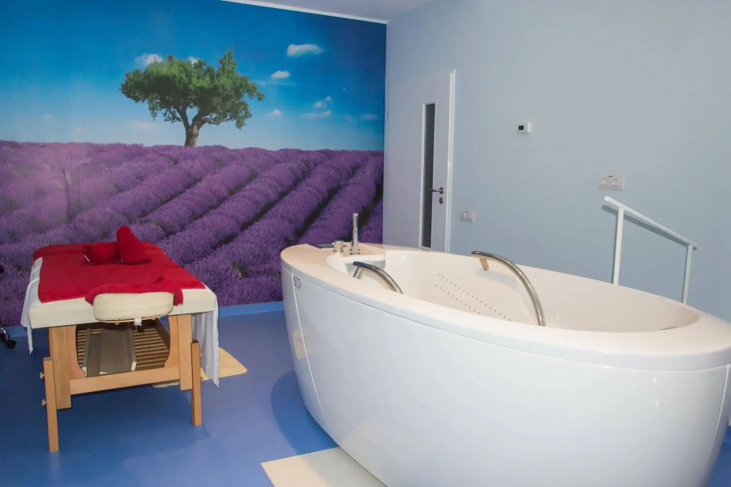 Salis Hotel and Medical Spa - Général