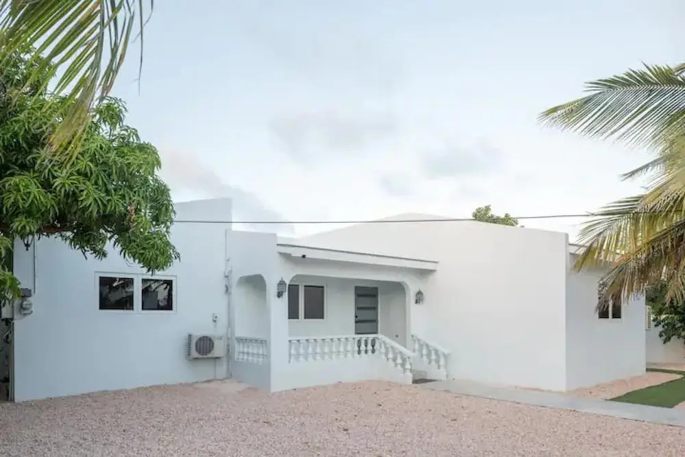 NEW Palm Beach 100h