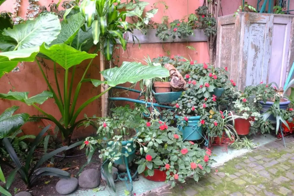 Casa San Telmo 13