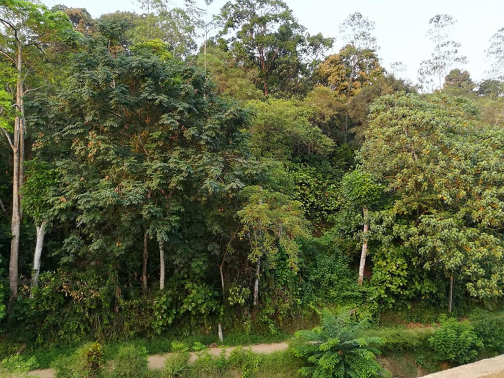 Thilini Tour INN
