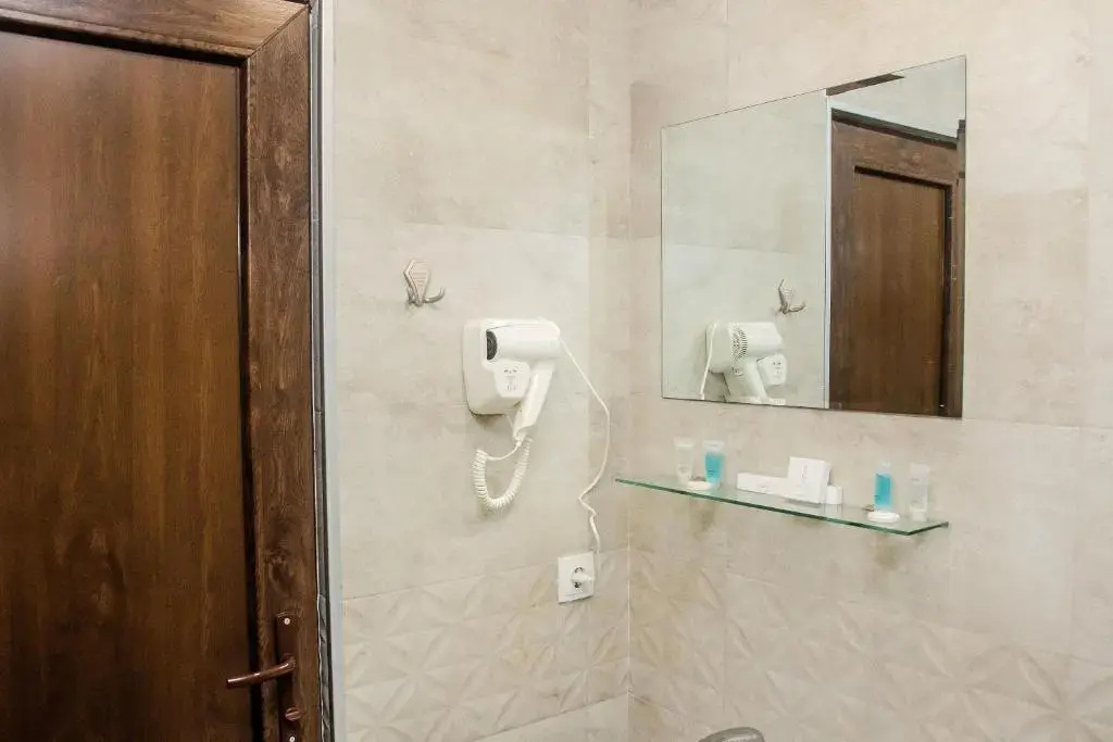Standard Double room with mountain view (full double bed)