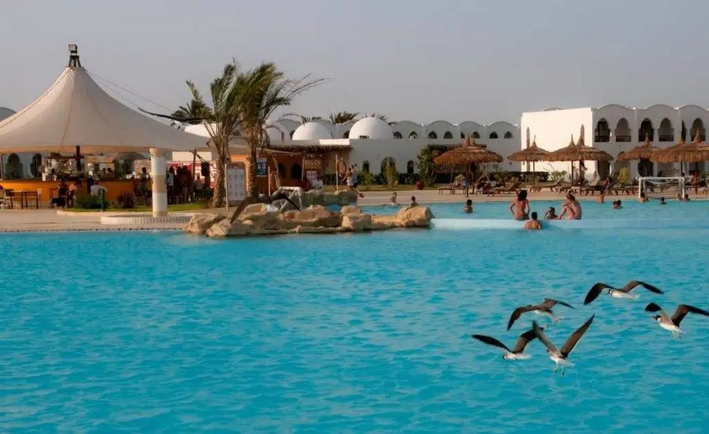 Gorgonia Beach Resort - фото 6