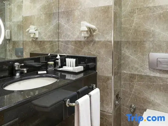 Metropolitan Hotels Ankara - Chambres