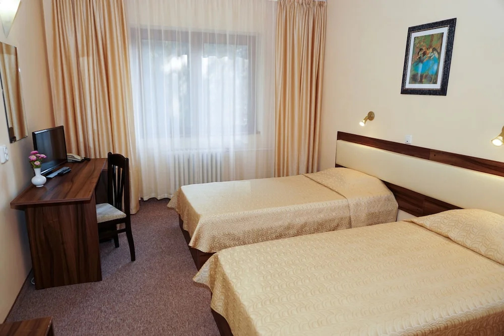 Hotel Bor - Chambres