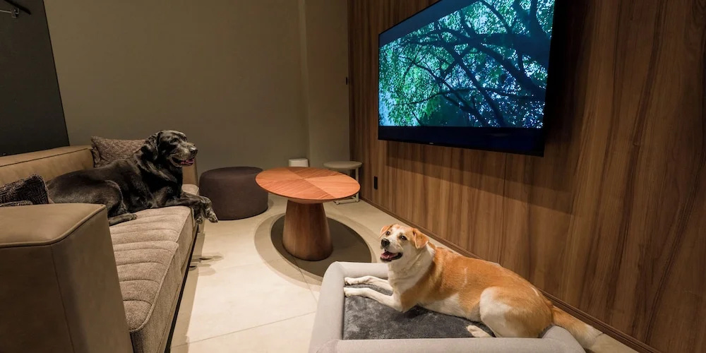 Rakuten STAY TERRACE Hakone Kowakudani 사진 6