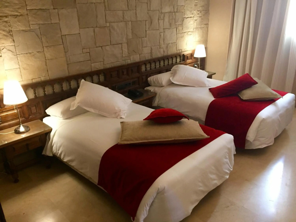 Hotel Sercotel Alfonso VI - Général