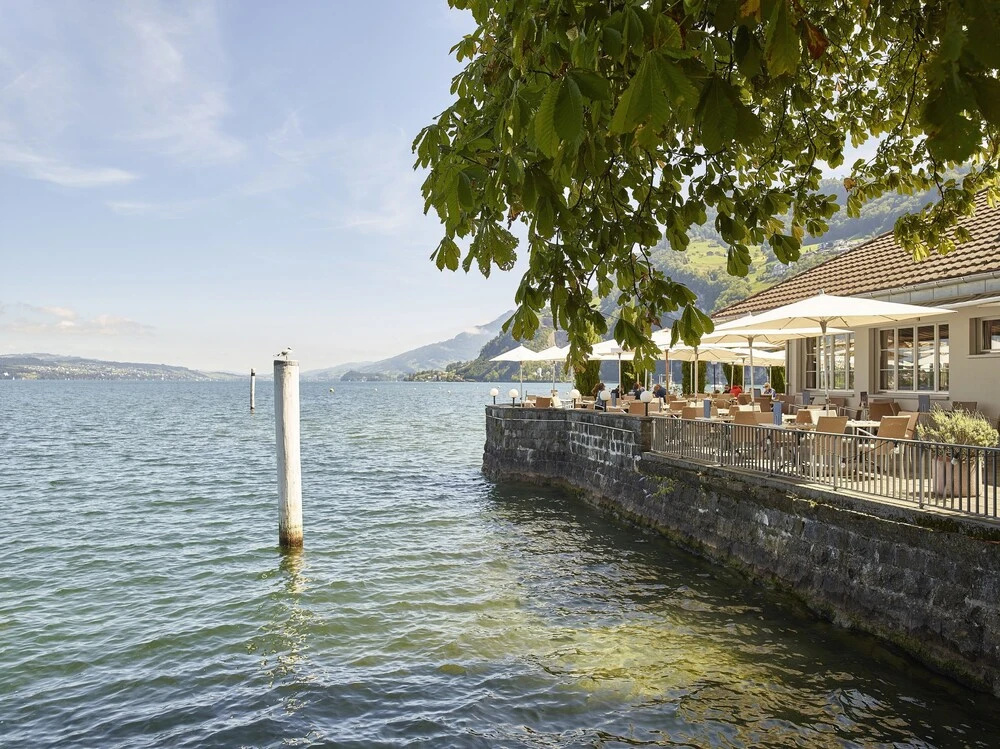 Beach & Waterfront